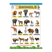 Load image into Gallery viewer, Animals and Birds Educational Wall Charts for Kids