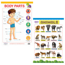 Load image into Gallery viewer, Body Parts and Animals Educational Wall Charts for Kids