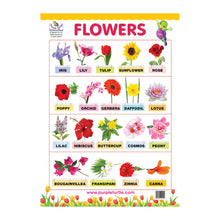 Load image into Gallery viewer, Educational Wallcharts for kids
