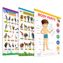 Load image into Gallery viewer, Educational Charts for kids (Animals, Birds, Body Parts)
