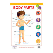 Load image into Gallery viewer, Body Parts and Animals Educational Wall Charts for Kids
